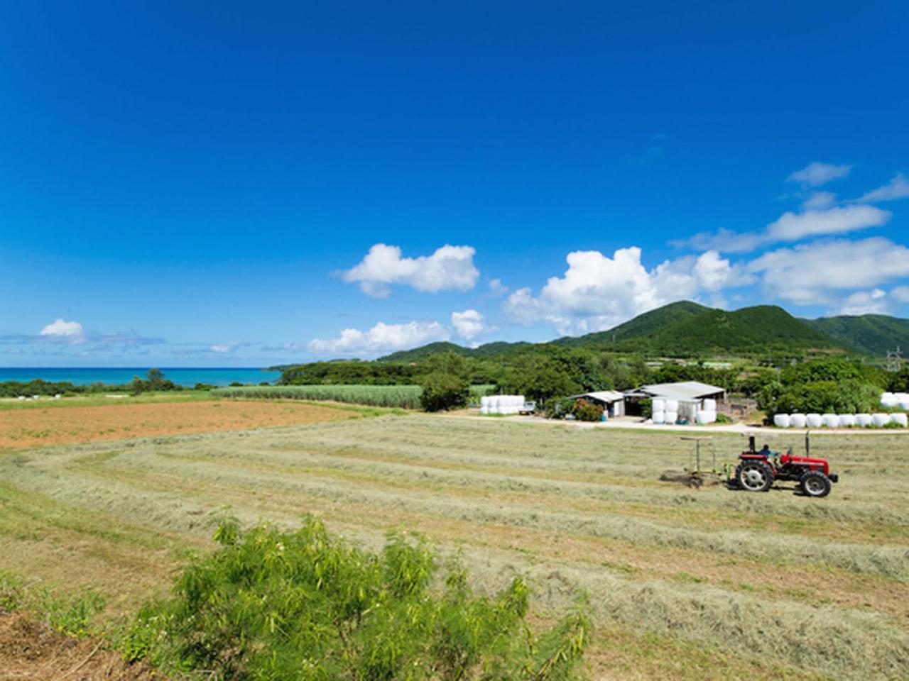 Sun Green Resort Hotel Ishigaki Ishigaki  Bagian luar foto